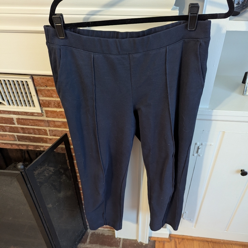 J. Crew Navy Blue Pintucked Pants With Pockets
